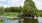 a body of water with trees around it