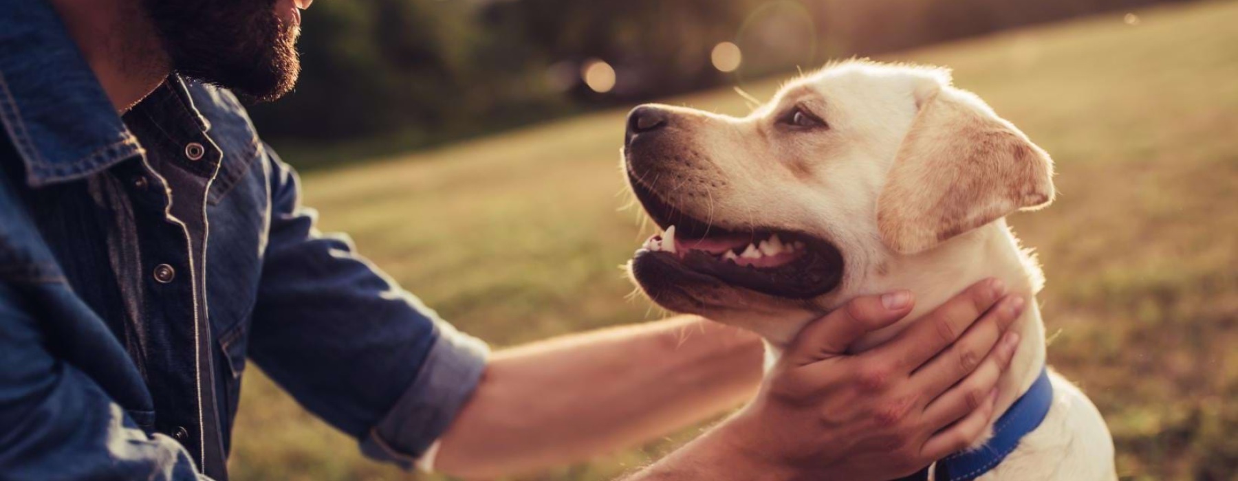 a man holding a dog
